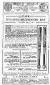 Mushroom Bat Ad